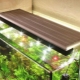 LED aquarium lights: features, selection and application