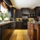 Dark cuisines: pros and cons, design
