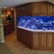 Corner aquariums: varieties, selection, arrangement, settlement