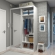 Narrow wardrobe in the hallway: types, selection and placement
