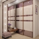 Built-in closet in the hallway: design, views and placement