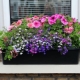 Balcony flower boxes: what are and how to choose them?