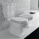 What is better for the toilet: porcelain or earthenware?
