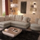 Sofas in the living room: varieties, choices and options in the interior