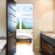 Doors for bathroom and toilet: types and choices