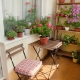 How to use flowers to decorate a balcony and loggia?