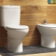 Which Ceramin toilet to choose?
