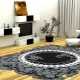 Carpets in the living room: varieties, choices, examples