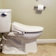 Toilet bidet cover: varieties, brands, selection and installation