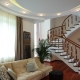 Stairs in the living room: their views and location tips