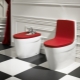 Floor toilets: device and varieties, recommendations for choice