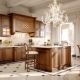 Features and varieties of luxury kitchens