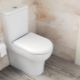 Features of the toilet seat with microlift