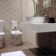 Tile in the toilet: types and design ideas