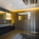 Ceiling lights in the bathroom: varieties, brands and choices
