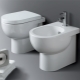 Toilet bowls: features, types and installation
