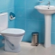 Santek toilet seats: features and recommendations for choosing