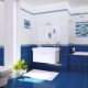 Blue tile for the bathroom: pros and cons, varieties, choice, examples