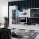 Modern walls in the living room: views, choices and options in the interior