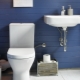 Modern toilet design: design features