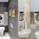 Toilet washer: placement rules and interesting solutions