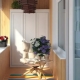 Cabinet on the balcony: varieties and tips for choosing