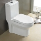 Monoblock toilet: features and recommendations for selection
