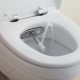 Bidet toilet: description, varieties and model range