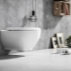 Belbagno toilets: varieties and models