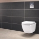 Grohe toilets: features and model range