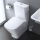 Rosa toilets: product overview