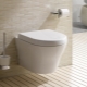 Toto toilets: models and their characteristics