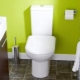 Design options for a small toilet