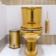 Gold toilets: how to choose and correctly fit into the interior?