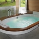 Large baths: pros, cons and recommendations for choosing