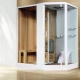 Shower cabins with sauna: what are and how to choose?