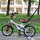 Handle bicycles for children: manufacturers overview and selection criteria