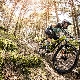 How to choose a bike for cross country?