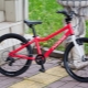 Review of models of children's bicycles Lisaped