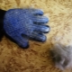 Gloves for combing pet hair: what are and how to choose?