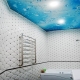False ceilings in the bathroom: features, varieties, design