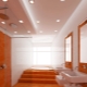 Drywall ceiling in the bathroom: pros and cons, design examples