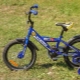 A variety of models of children's bikes Stern