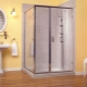 Glass doors for a shower cabin: varieties, choice, care