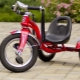 Tricycles for children from 2 years: types and choices