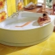 Triangular bathtubs: overview of shapes, sizes and selection tips