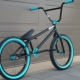 BMX bikes: characteristics, varieties, brands, choice