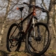 KTM bicycles: models, selection guidelines