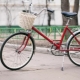 Bicycles Salute: characteristics and modernization