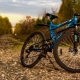 Stinger Bikes: Features, Top Models, and Tips for Choosing